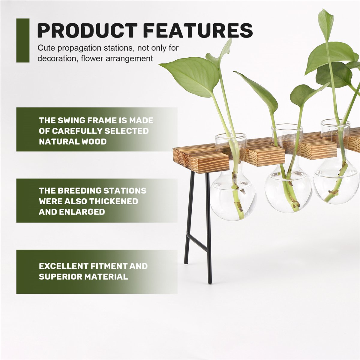 Propagation Station Vase - ABFS Propagation Stations Desktop Air Plant