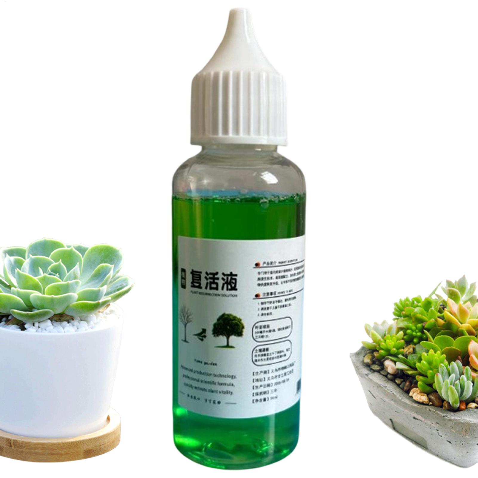 Root Stimulator for Plants Liq - Root Stimulator Liquid recension och pris