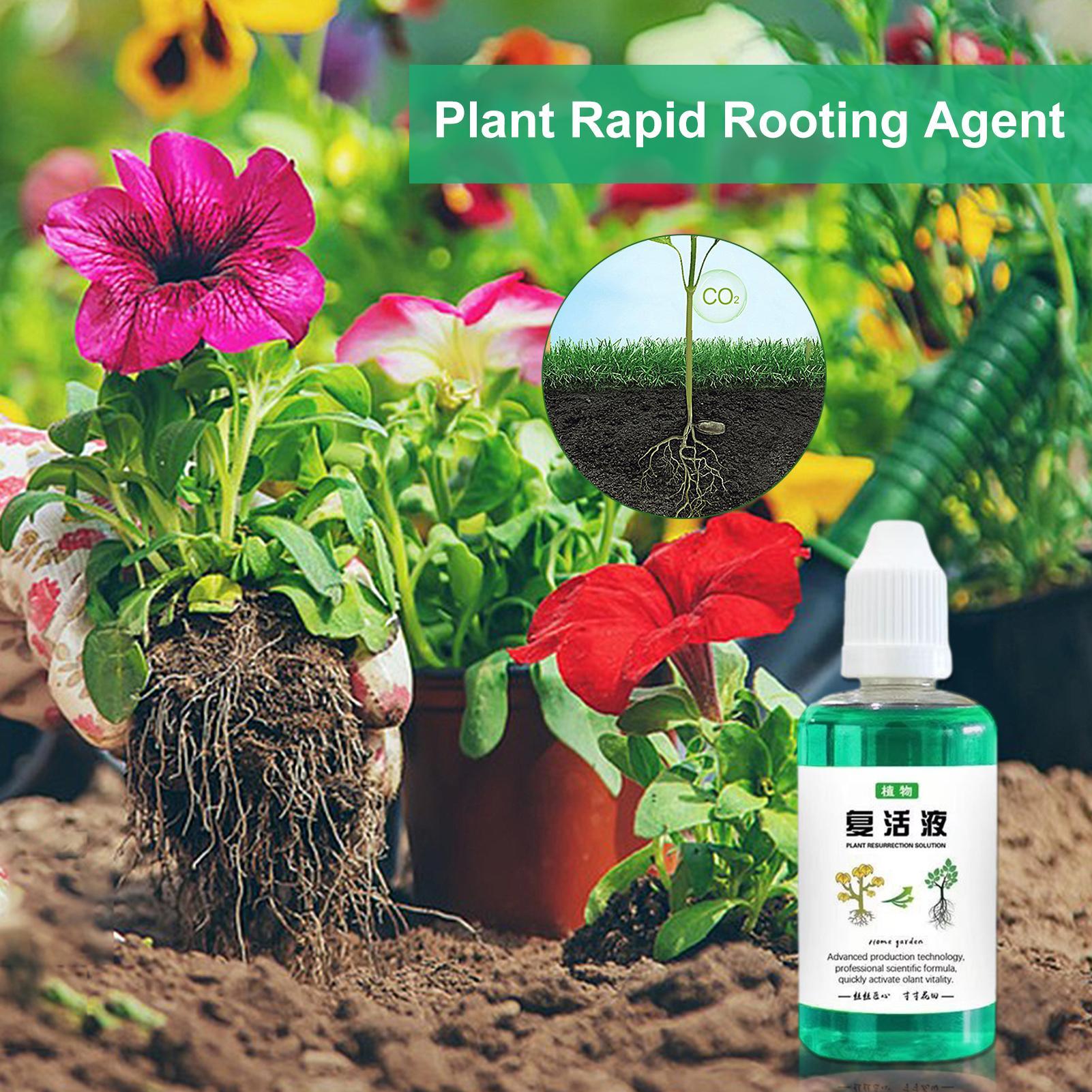 Root Stimulator For Plants 50m - Root Stimulator Liquid recension och pris