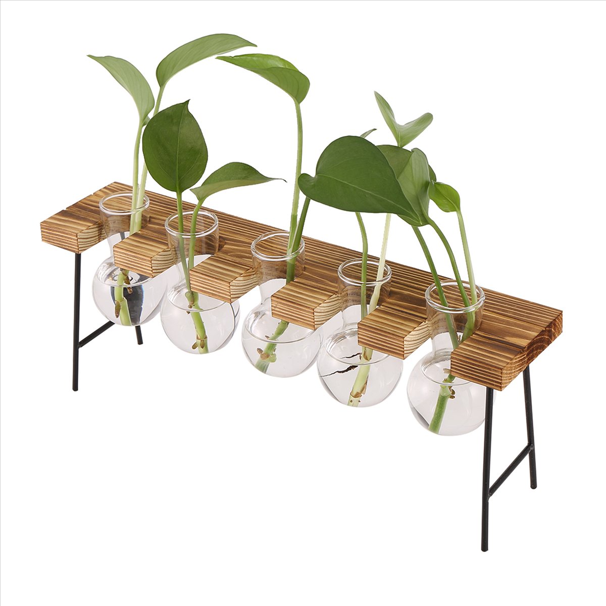 ABFS Propagation Stations Desk - Propagation Station Vase recension och pris